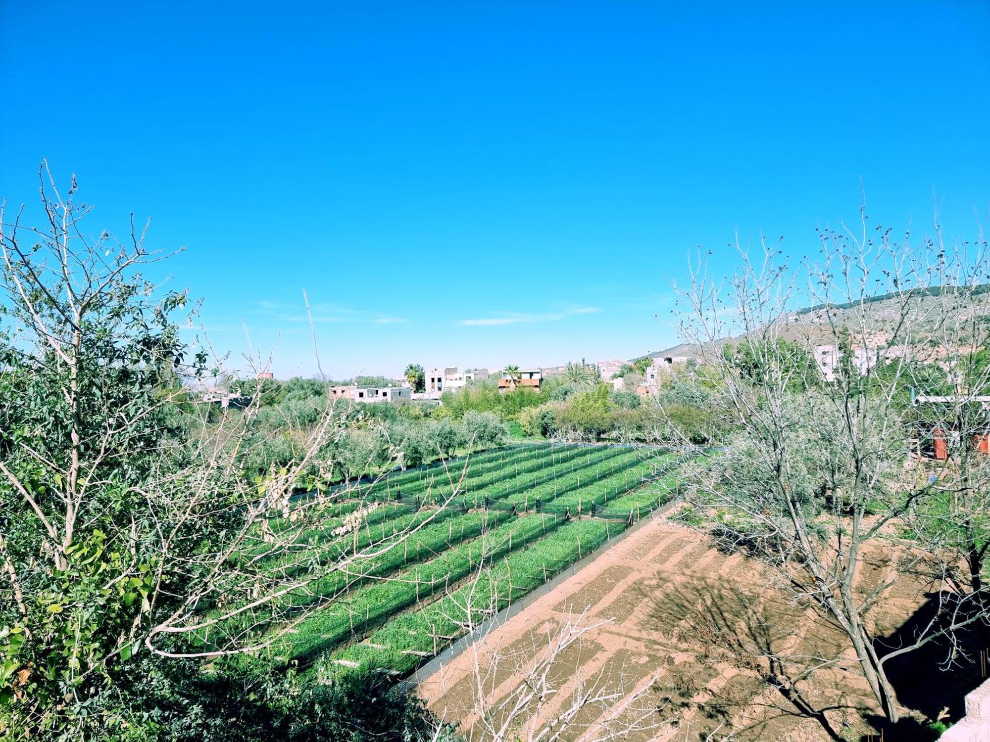 Villa Des Etoiles Ourika Buitenkant foto